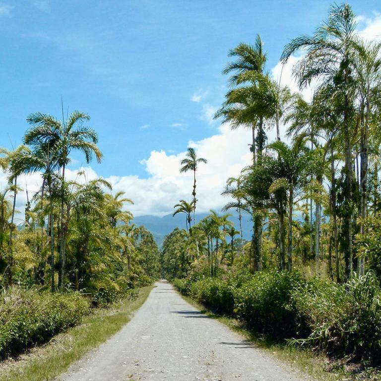 esl-costa-rica-which-city-to-choose-banner