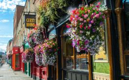 gap-year-irlande